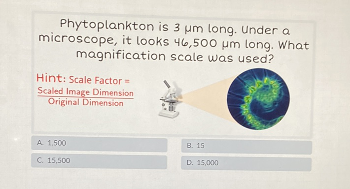 Phytoplankton is \( 3 \mu \mathrm{m} \) long. Under a microscope, it looks \( 46,500 \mu \mathrm{m} \) long. What magnification scale was used?
Hint: Scale Factor \( = \)
\( \frac{\text { Scaled Image Dimension }}{\text { Original Dimension }} \)
A. 1,500
C. 15,500