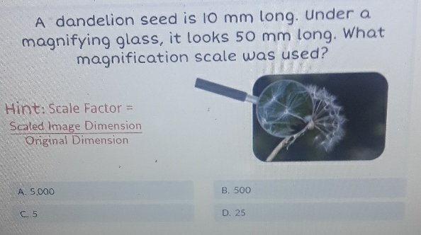A dandelion seed is \( 10 \mathrm{~mm} \) long. Under a magnifying glass, it looks \( 50 \mathrm{~mm} \) long. What magnification scale was used?
Hint: Seale Factor =
Scaled Image Dimension
Original Dimension
A. 5,000
B. 500
C. 5
D. 25