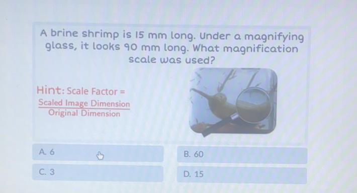 A brine shrimp is \( 15 \mathrm{~mm} \) long. Under a magnifying glass, it looks \( 90 \mathrm{~mm} \) long. What magnification scale was used?
Hint: Scale Factor =
Scaled Image Dimension
A. 6
C. 3
B. 60
D. 15