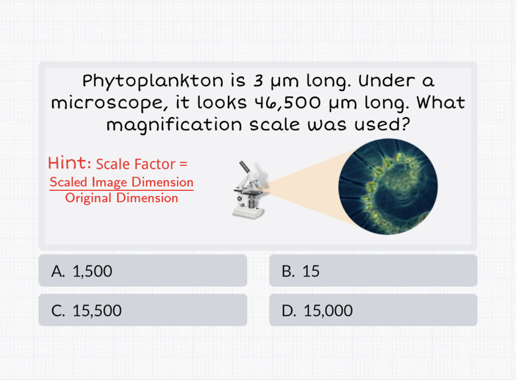 Phytoplankton is \( 3 \mu \mathrm{m} \) long. Under a microscope, it looks \( 46,500 \mu \mathrm{m} \) long. What magnification scale was used?
Hint: Scale Factor =
Scaled Image Dimension
Original Dimension
A. 1,500
B. 15
C. 15,500
D. 15,000